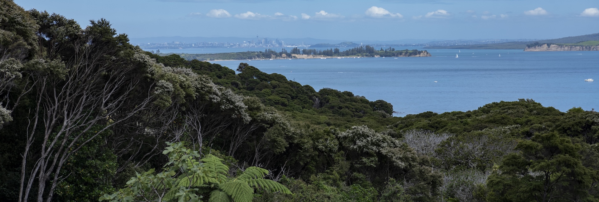 NZ Scenery Coastline