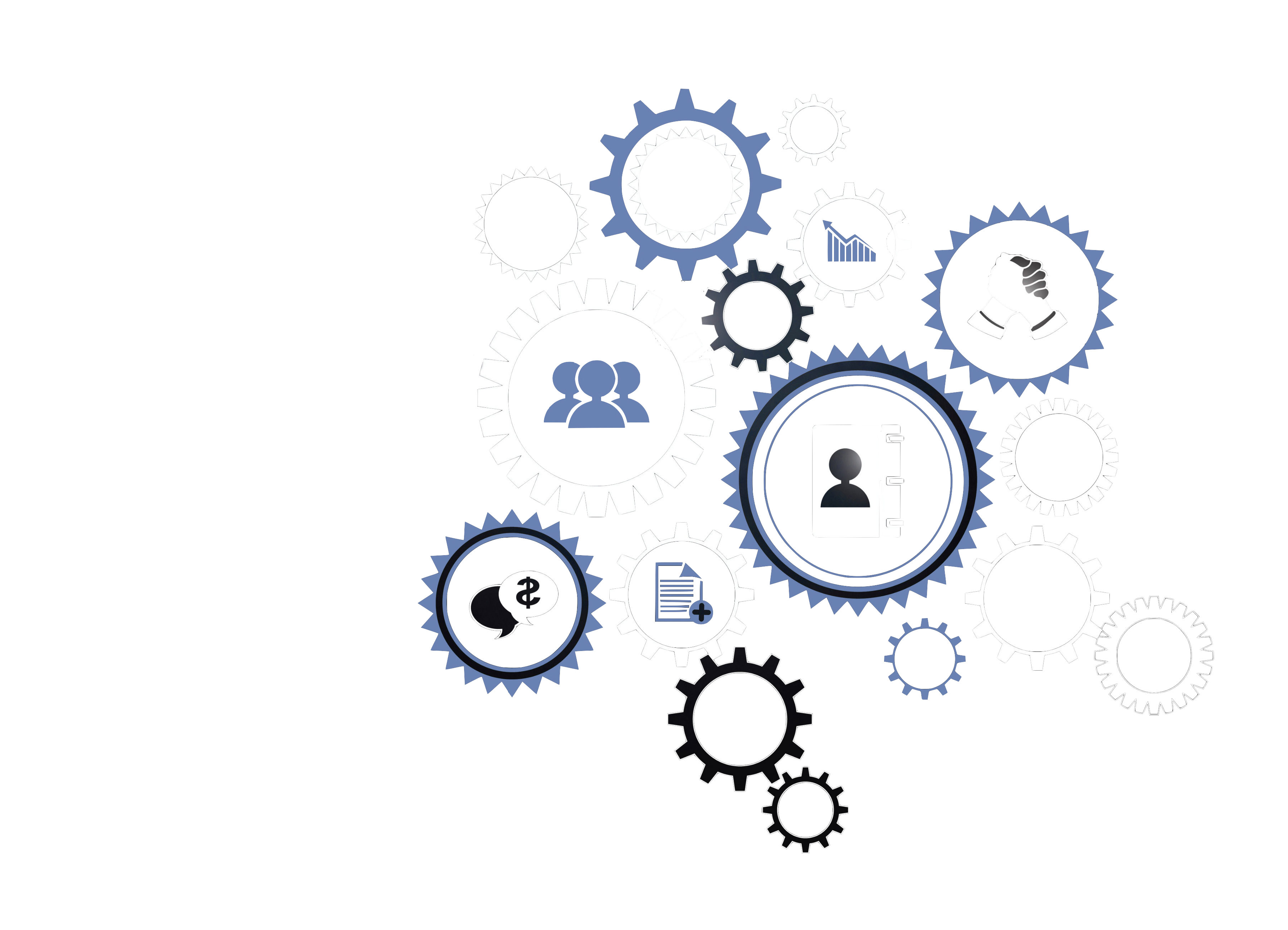 Why you should choose Hall Chadwick Consulting