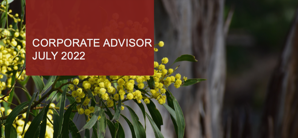 Corporate Advisor July 2022
