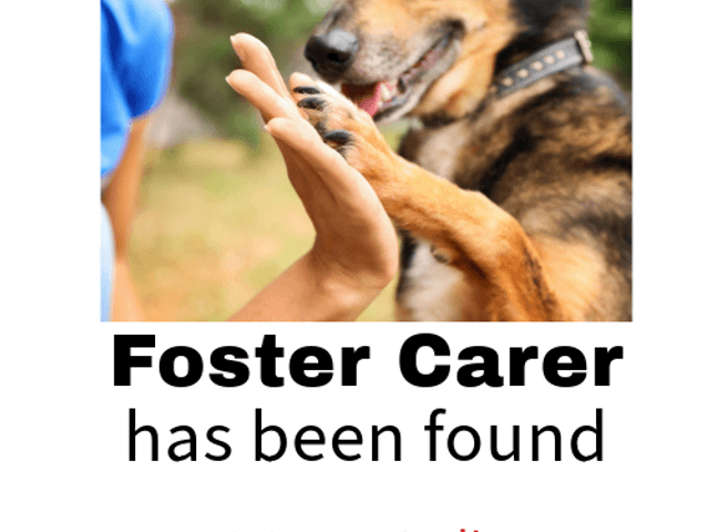 What is required to be a Foster Carer?