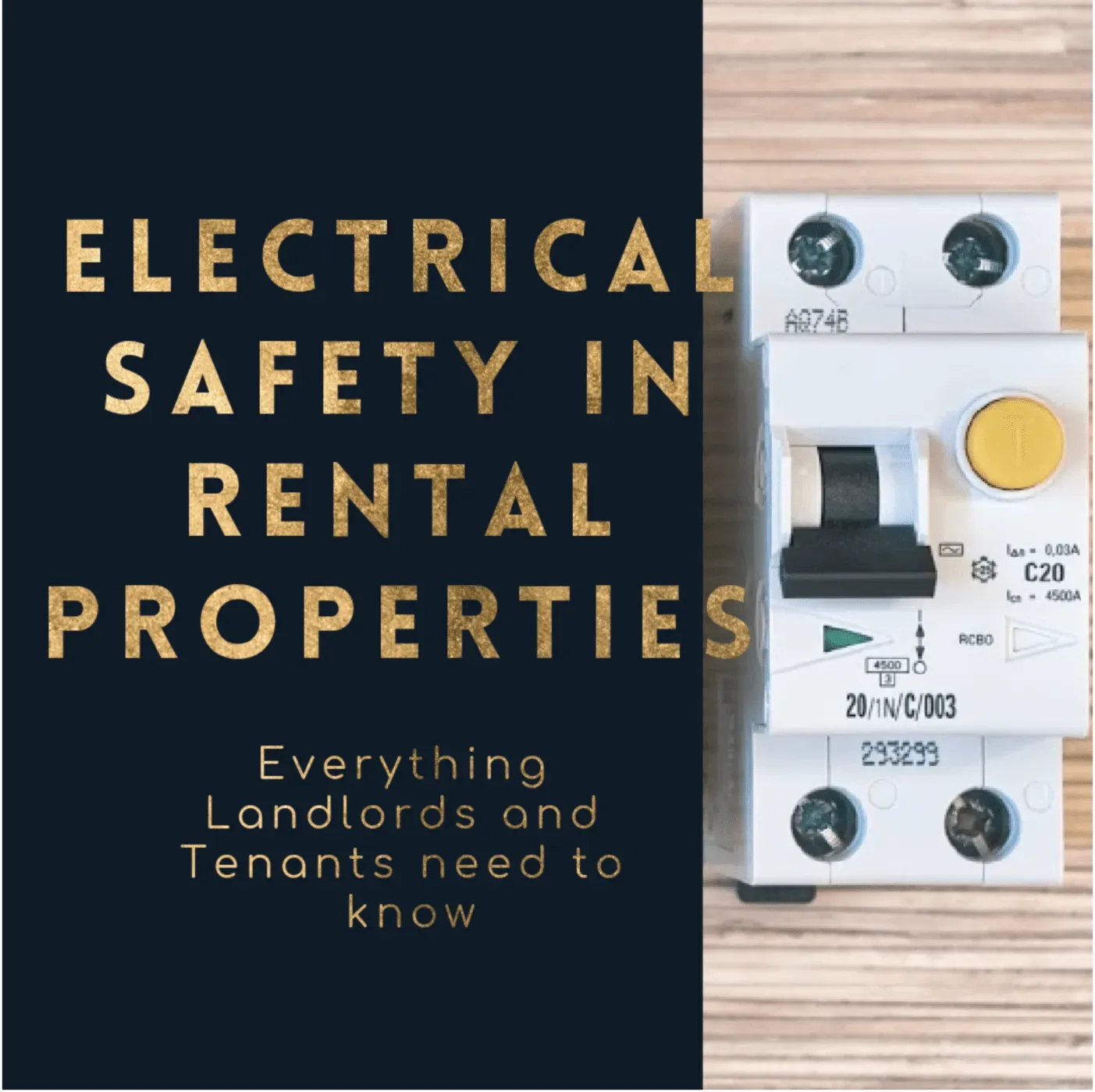 Title: Electrical safety in rental properties - everything landlords and tenants need to know. with photo of a safety switch