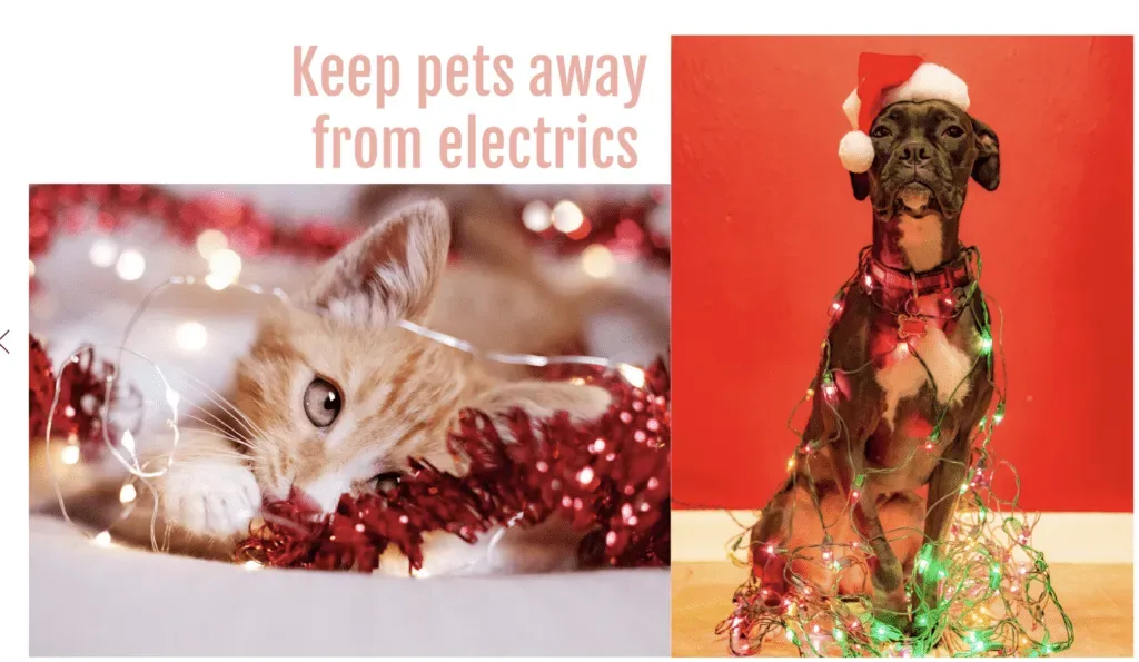 dog and cat wrapped in Christmas fairy lights