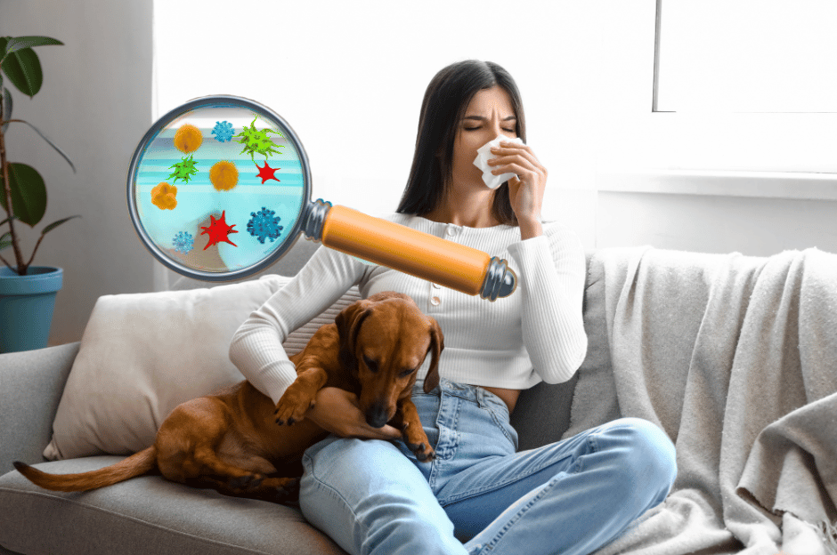 Magnifying glass to look at indoor air to see allergens around a person with a dog