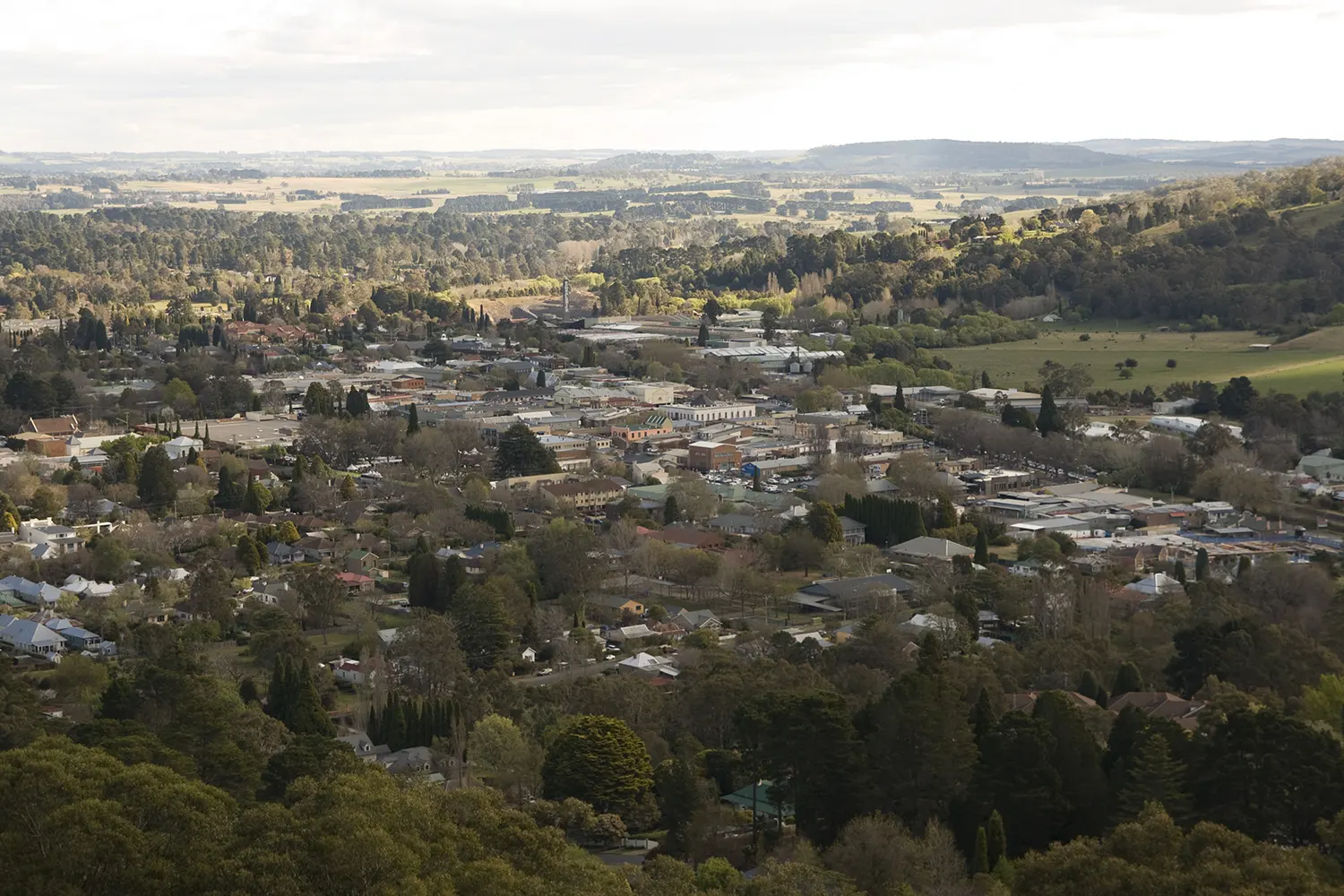 About Bowral  - Southern Highlands