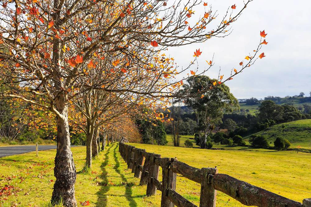 Why Move to Yass and Murrumbateman