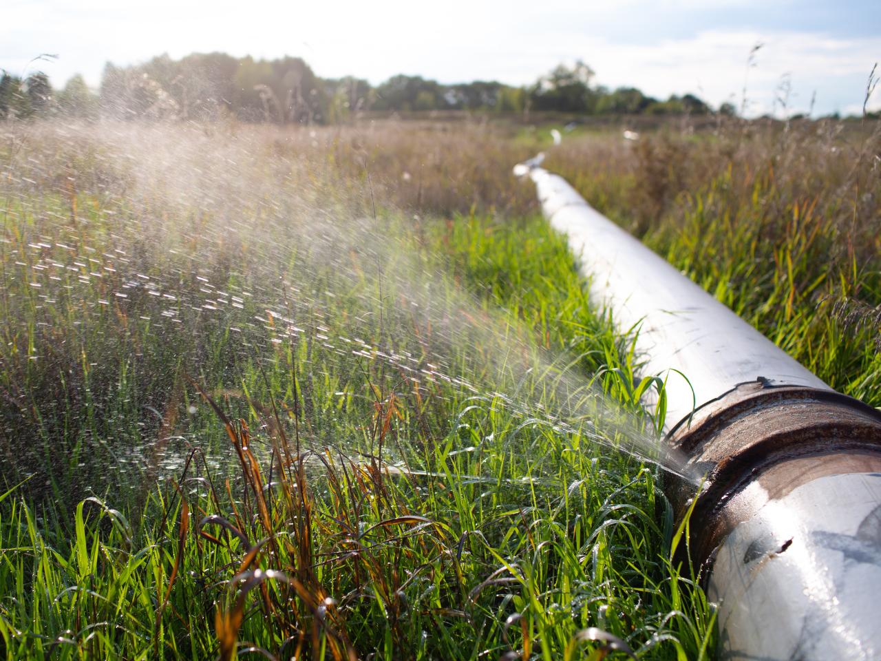 Broken Pipe Causing Environmental Issues