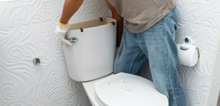 Toilet Repairs