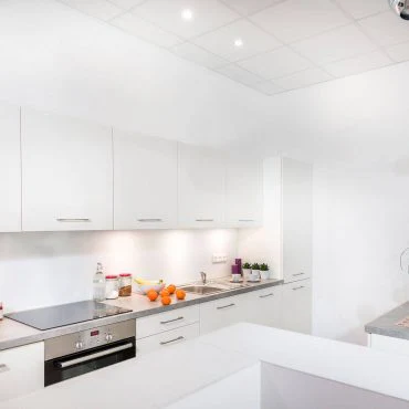 Modern Kitchen Renovation