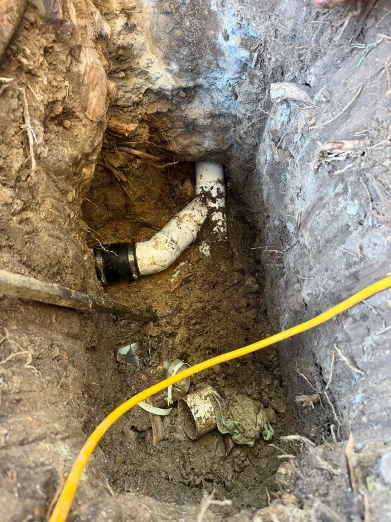 blocked drain in Glenwood