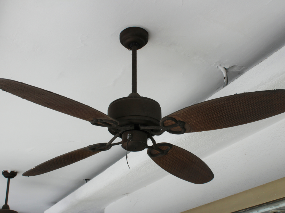 Ceiling fan