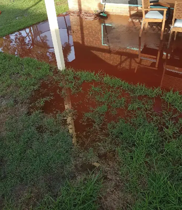 Flooded backyard