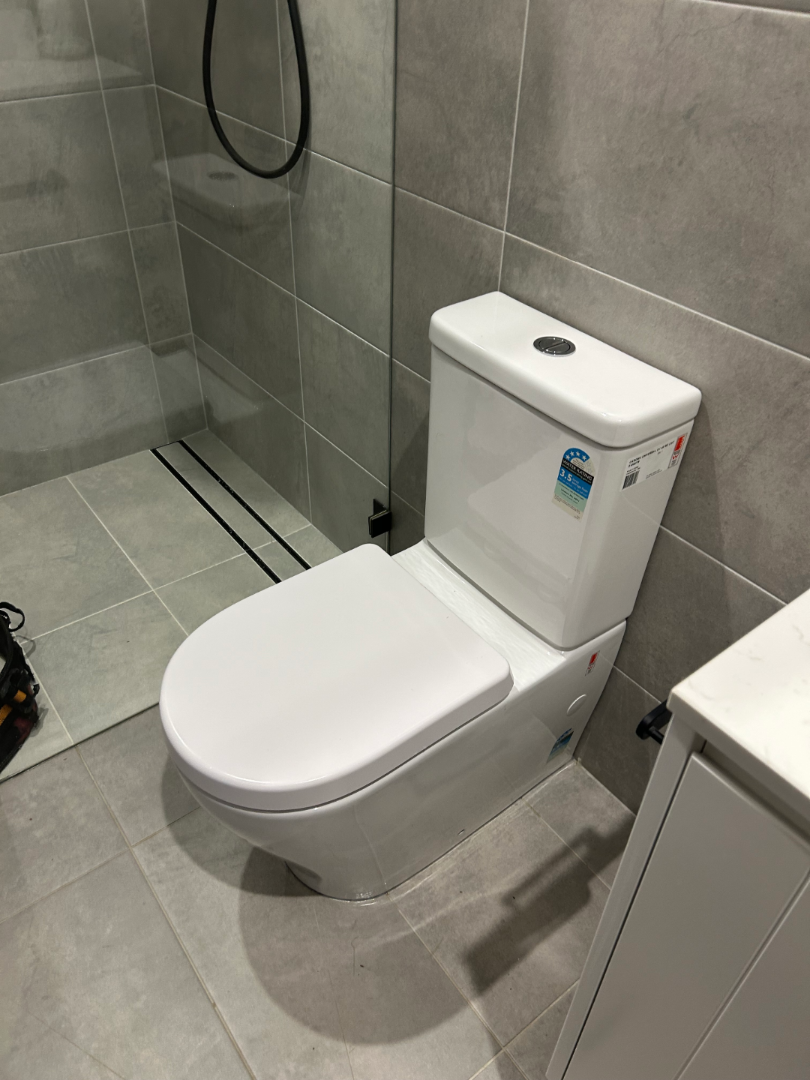 Toilet in Bathroom