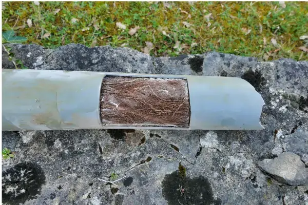 Tree root blockage