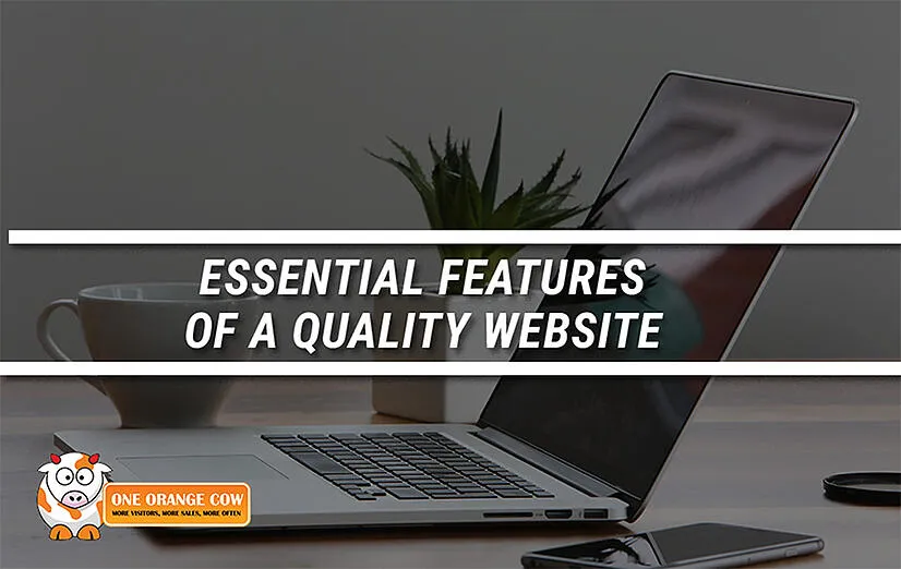Essential Features of a Quality Website