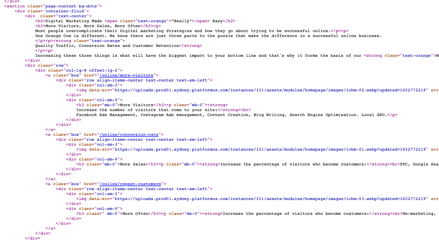 source code of one orange cow website showing an example of meta tags