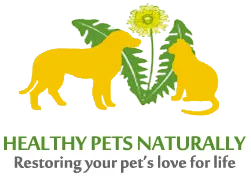 Healthy Pets Naturally