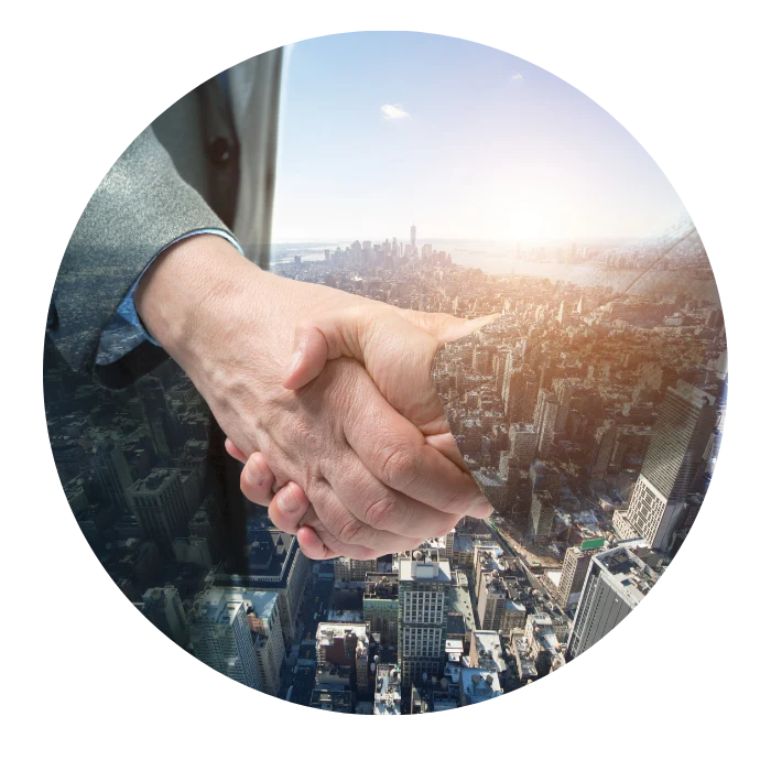 National SEO Services at One Orange Cow