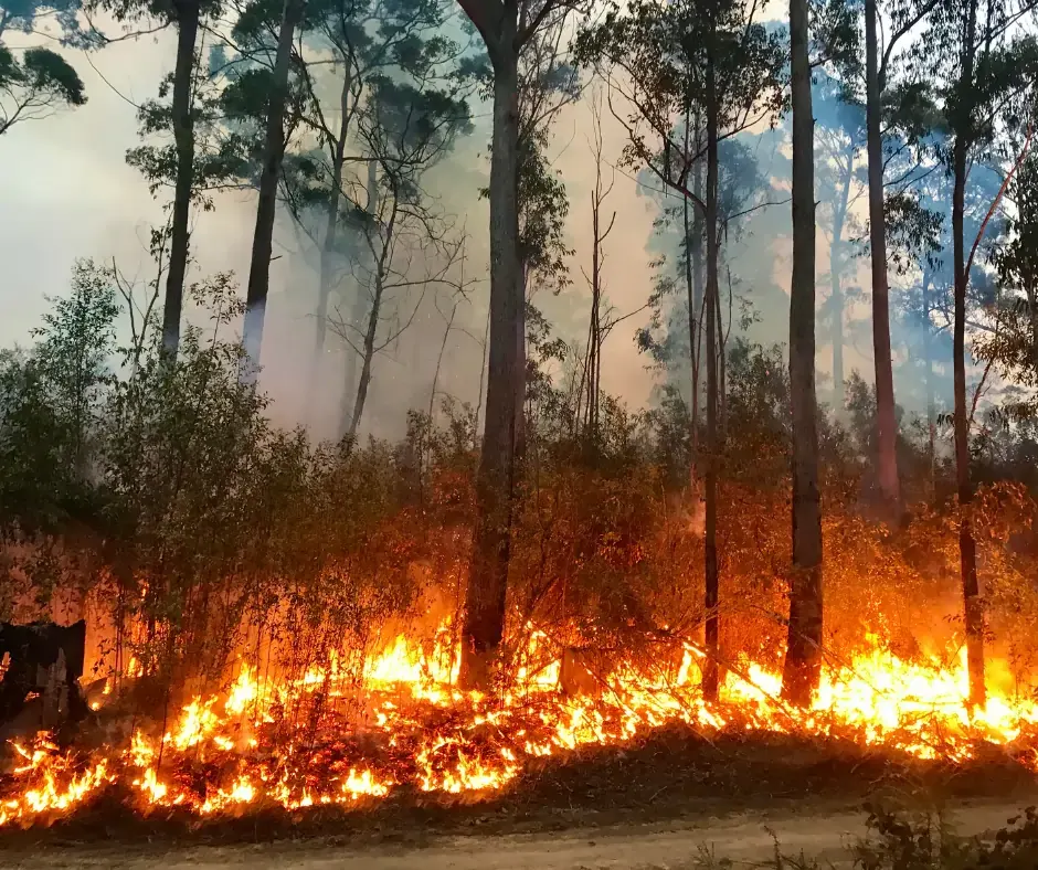 Bushfires spreading towards homes