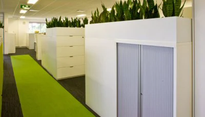 Office Plants