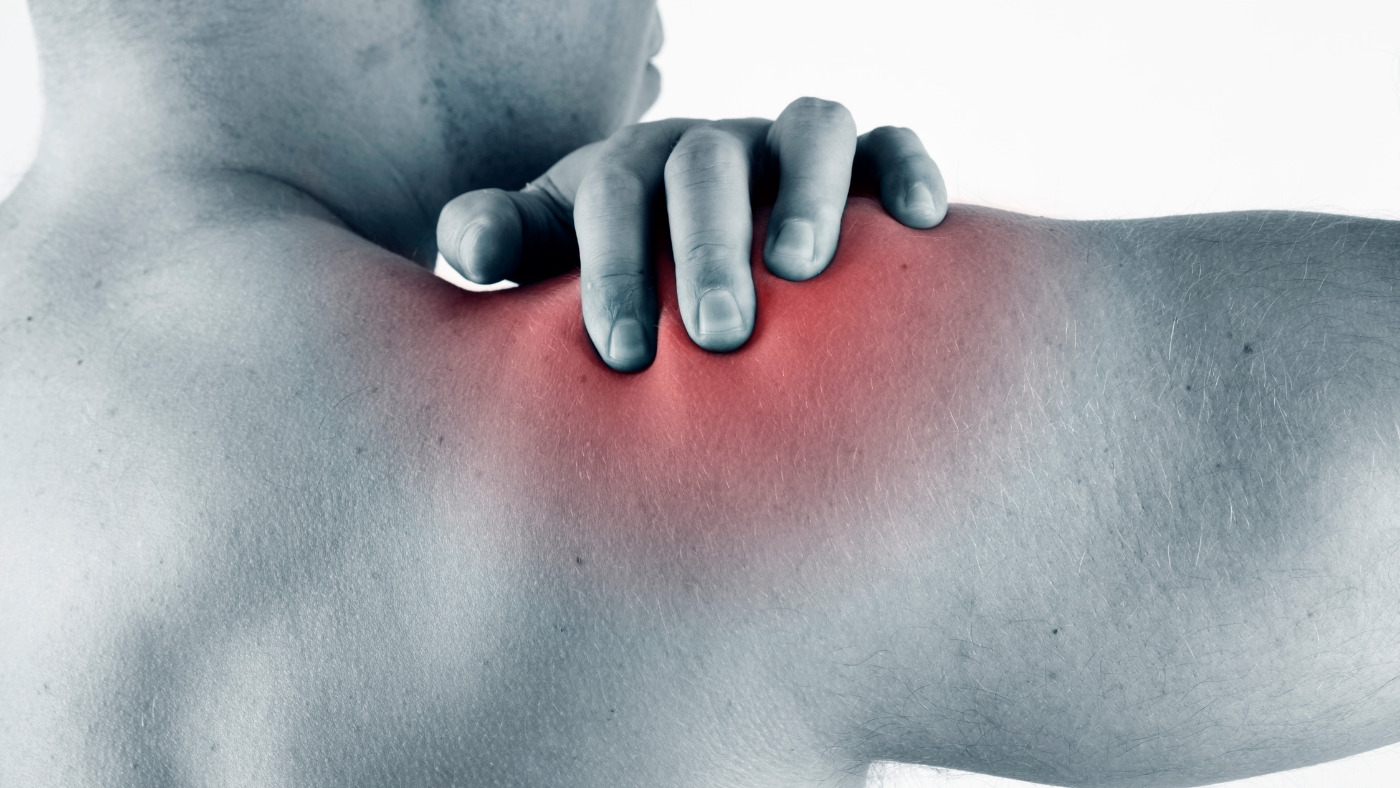 Shoulder: Shoulder Labral Tears