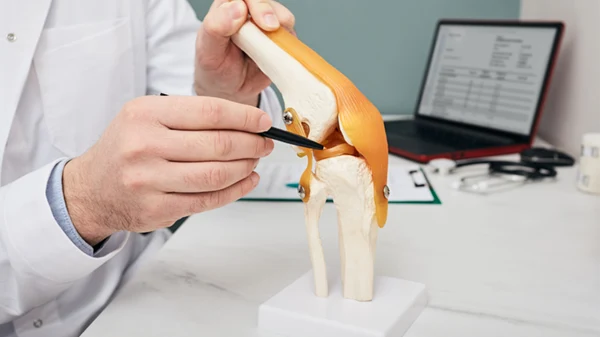 Knee: Meniscus Repair Surgery