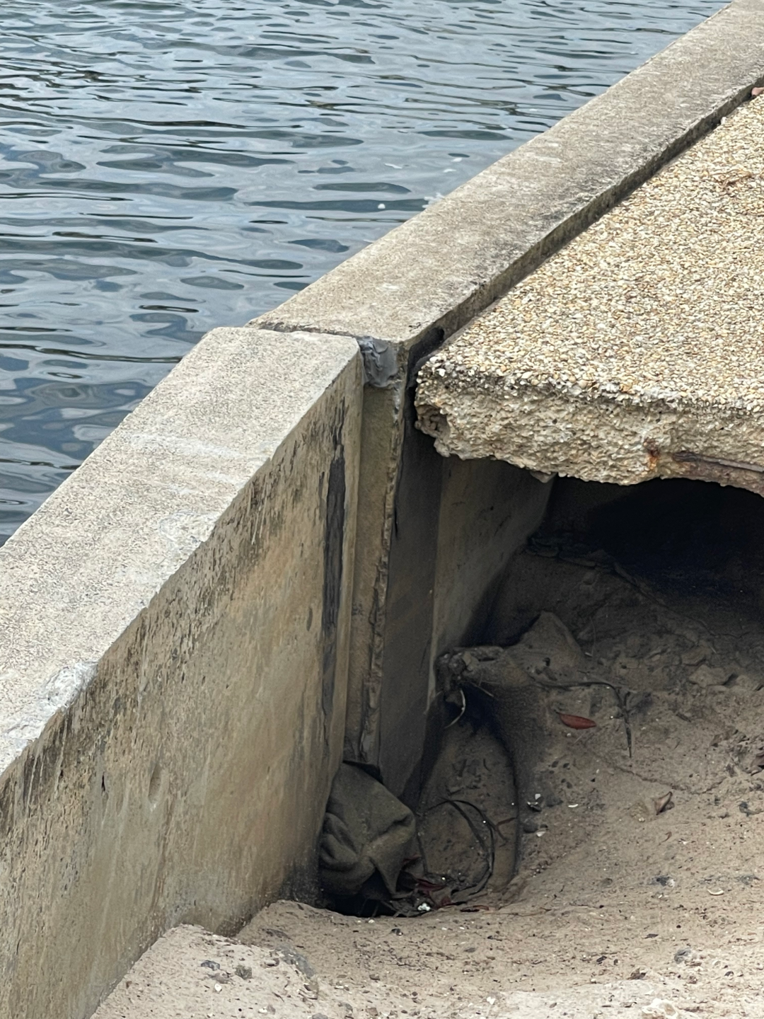 How to Tell if Your Canal Wall Needs Repairing: Warning Signs for SE Queensland Homeowners feature image