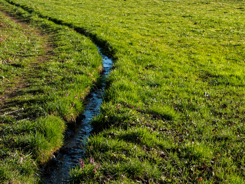 Backyard Drainage Solutions and Trenches
