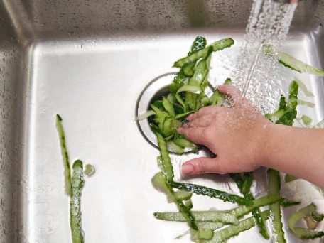 images/kitchen-disposal-1770350135765-small