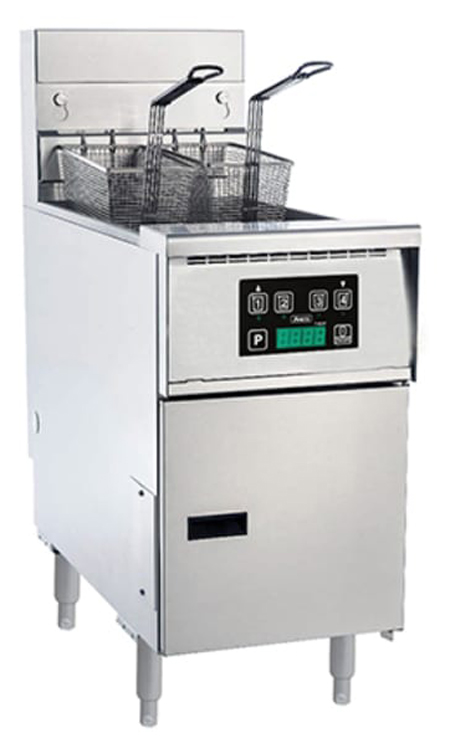Anets AGP55D Platinum Series Fryer