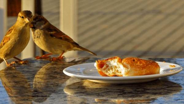 Waste is bad for your Bottomline