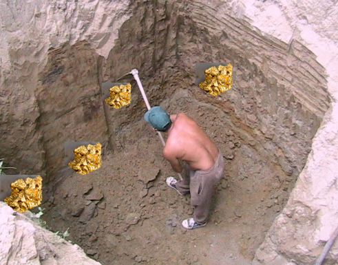 Fun Friday 23 October