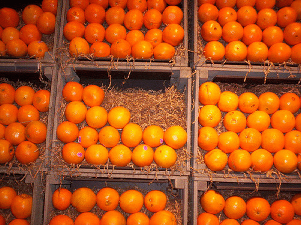 Orange Juice Is Big Business