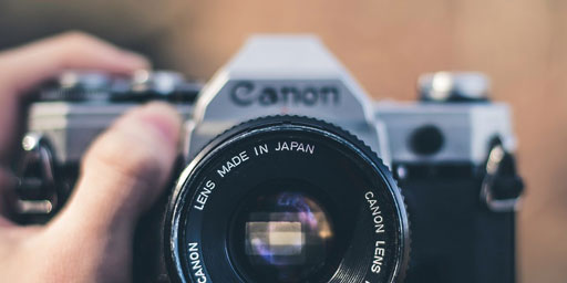 Picture Perfect