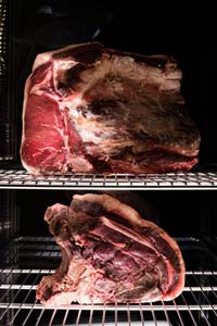 Everlasting DAE0702 Dry Age Meat Cabinet Panorama