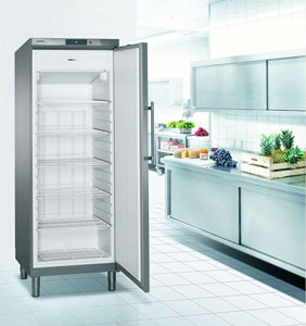 Liebherr GGV 5860 1 Door Upright SS Food Service Freezer