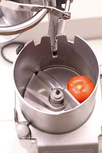 Hallde RG-250 Vegetable Prep