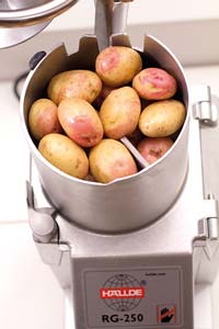 Hallde RG-250 Vegetable Prep