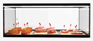 Sayl ADS0025 Ambient Food Display 555mm Single Tier