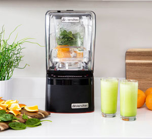 Blendtec Professional 800 Wildside+ Jar Domestic Blender