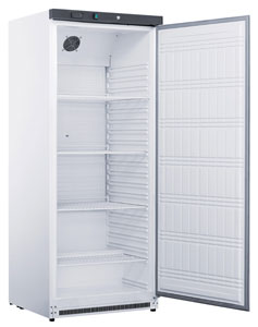FED-X XR600SS SS Single Door 588L Upright Fridge