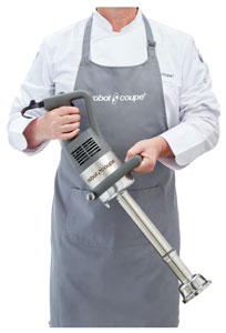 Robot Coupe MP 350 Ultra TP Immersion Blender