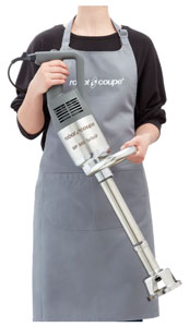 Robot Coupe MP 800 Turbo Immersion Blender