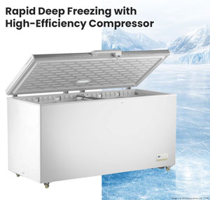 Thermaster BD600F Stainless Steel Lid 600L Chest Freezer