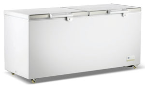 Thermaster BD600F Stainless Steel Lid 600L Chest Freezer