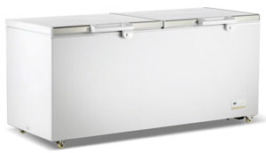 Thermaster BD750F Stainless Steel Lid 750L Chest Freezer