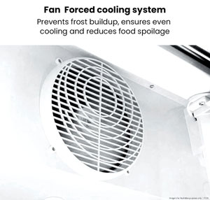 Thermaster LG-1200BP 730L 2 Large Glass Door Colourbond Upright Fridge