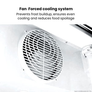 Thermaster LG-370P 370L Glass Door Colourbond Upright Fridge