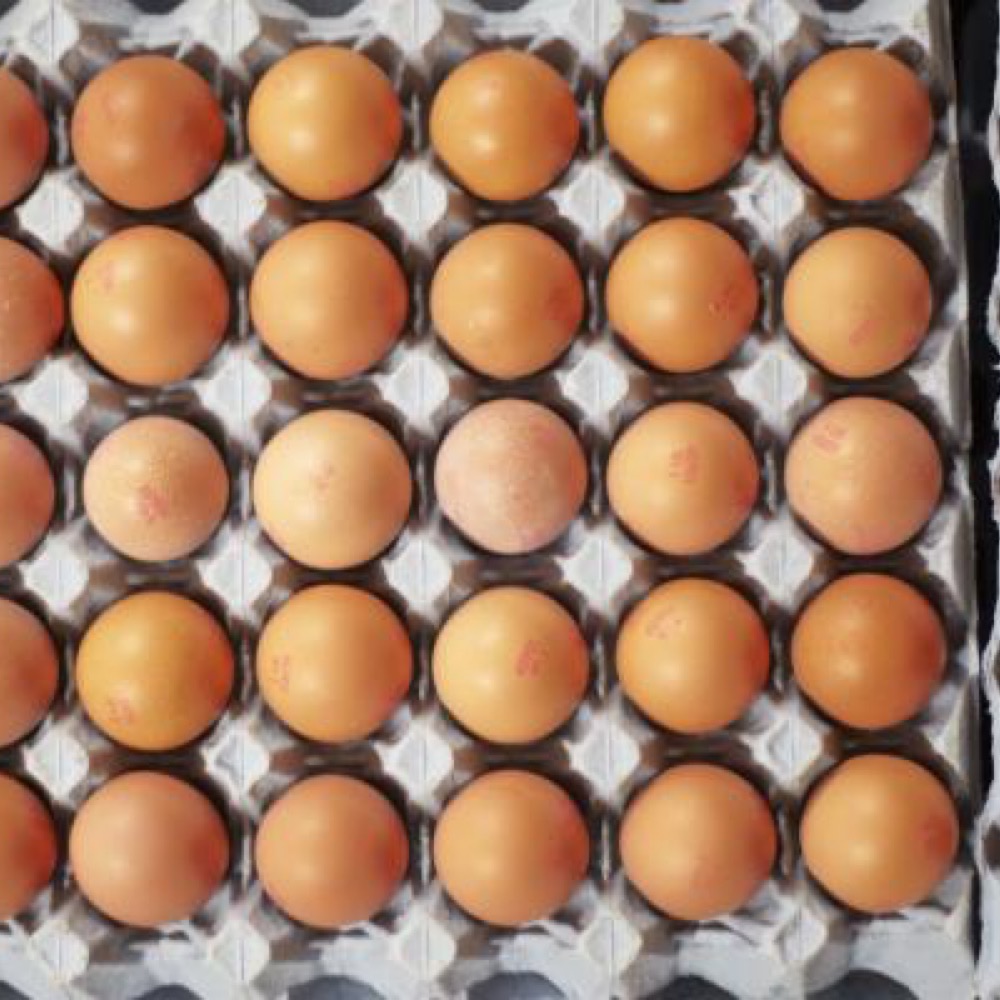 How restaurant operators balance food costs and pricing amid inflation