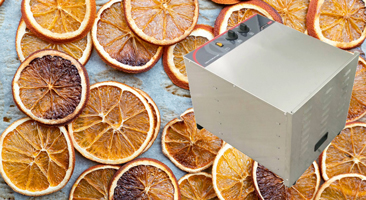 Struggling to Make Your Cocktails Stand Out?