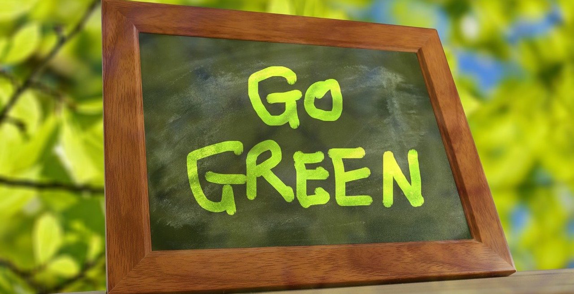 Going Green, Saving Green: Energy Efficiency Tips for Restaurants